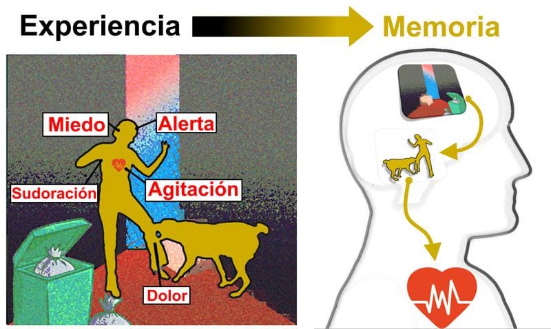 Intervenciones psicológicas y farmacológicas recomendadas para tratar la depresión y ansiedad en pacientes con EPOC