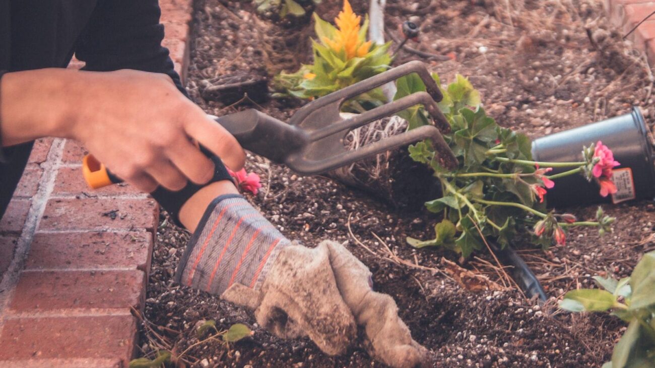 Cuartos individuales diseñados para el confort: Hogares geriátricos en Medellín que cuidan cada detalle para ofrecer el mejor ambiente.