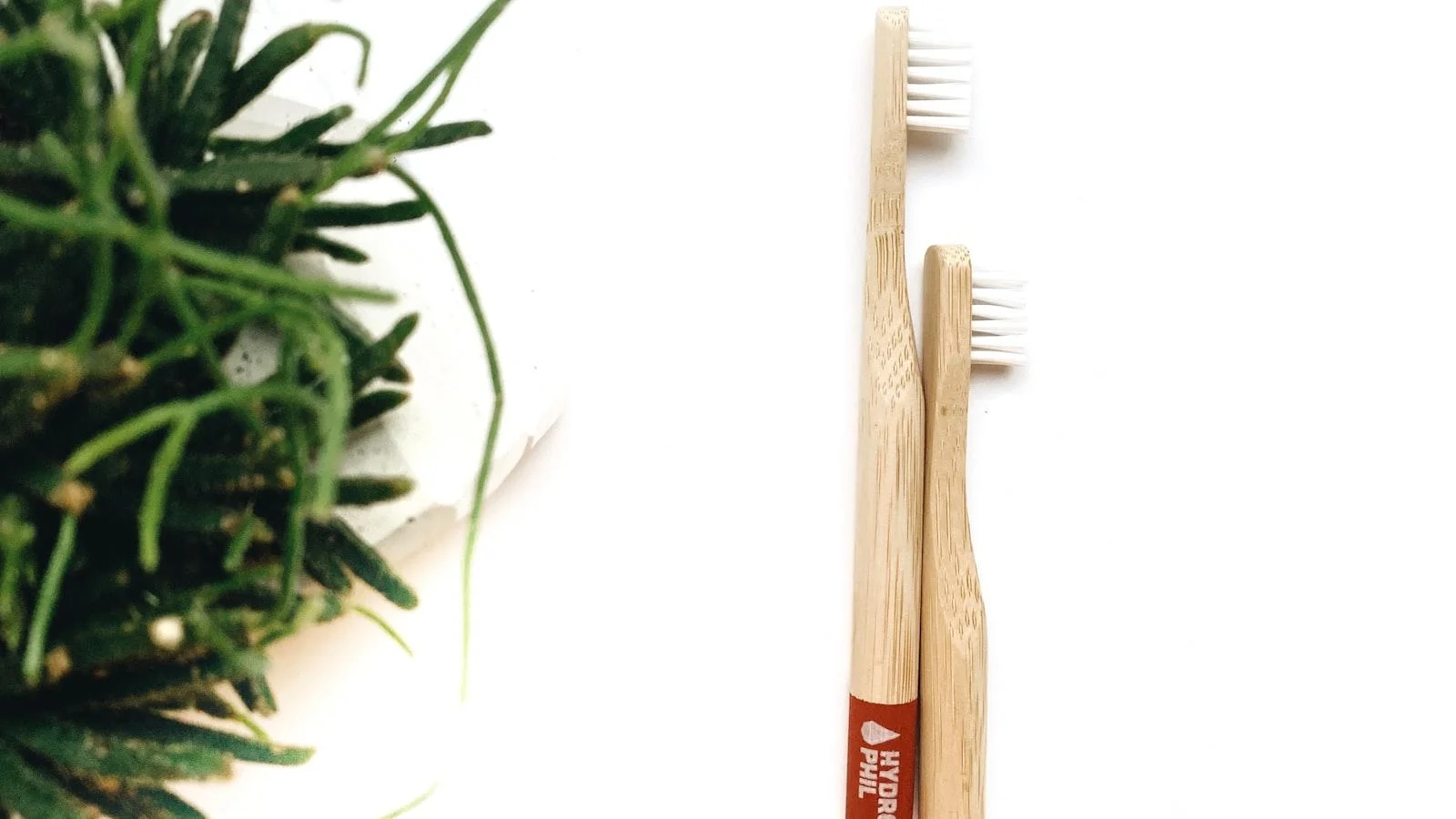 Conoce la diversidad cultural en hogares geriátricos de Medellín: Un ambiente enriquecedor que celebra la riqueza de la historia y la tradición.