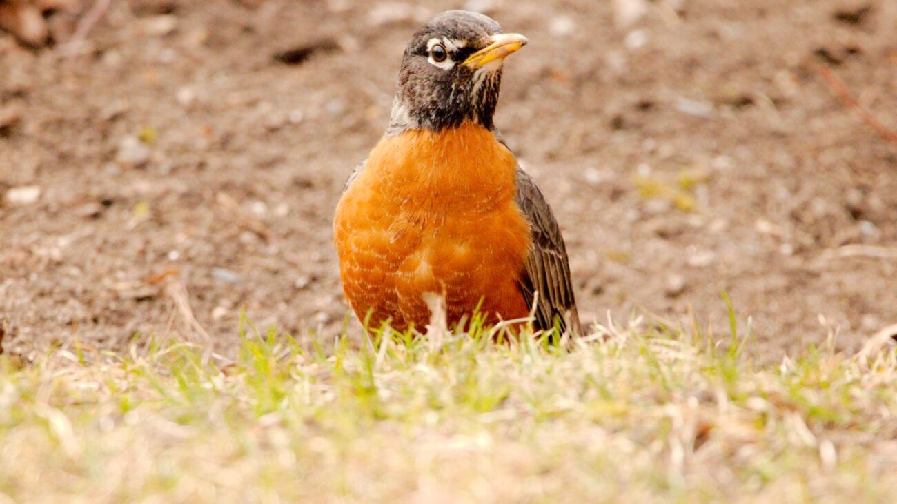 Vive plenamente en hogares geriátricos de Medellín