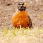 Vive plenamente en hogares geriátricos de Medellín