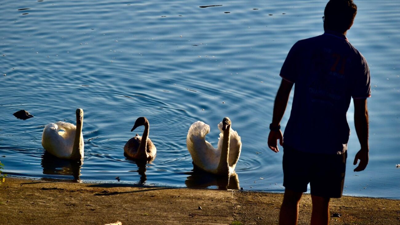 Viviendo plenamente en Medellín: Hogares geriátricos para el envejecimiento activo