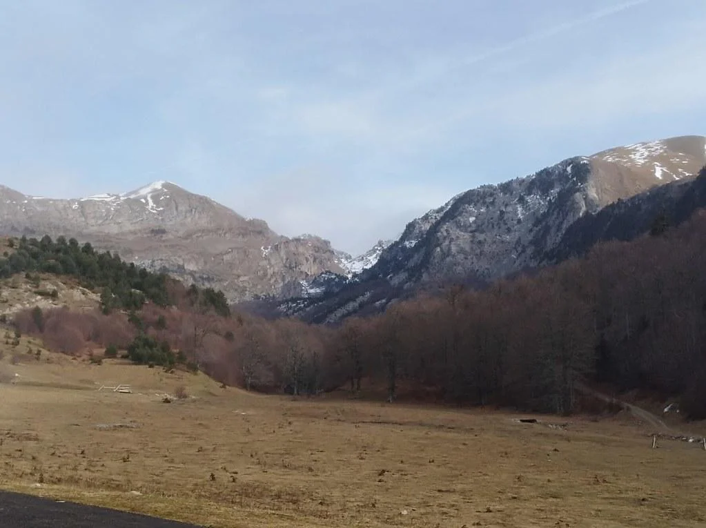 En Medellín, la ciudad de la eterna primavera, descubre hogares geriátricos que celebran la vitalidad en la tercera edad con instalaciones cómodas y seguras, creando un ambiente donde cada residente se siente parte de un lugar lleno de seguridad.
