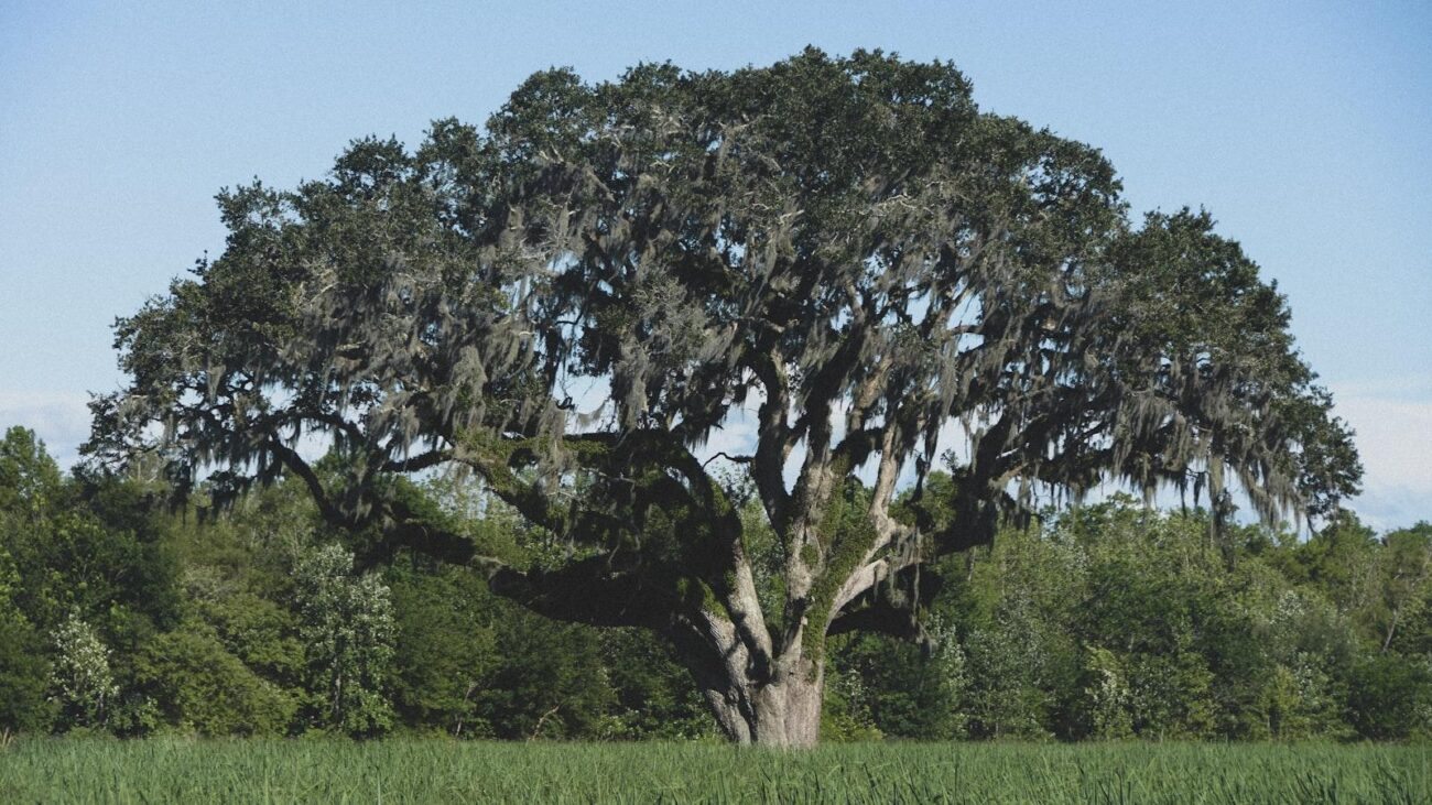 Mantente activo y saludable en Medellín: Hogares geriátricos que promueven el ejercicio y la movilidad en la tercera edad, creando un ambiente donde cada residente se siente parte de un lugar lleno de vitalidad, creando un ambiente donde cada residente se siente parte de un lugar lleno de movimiento.