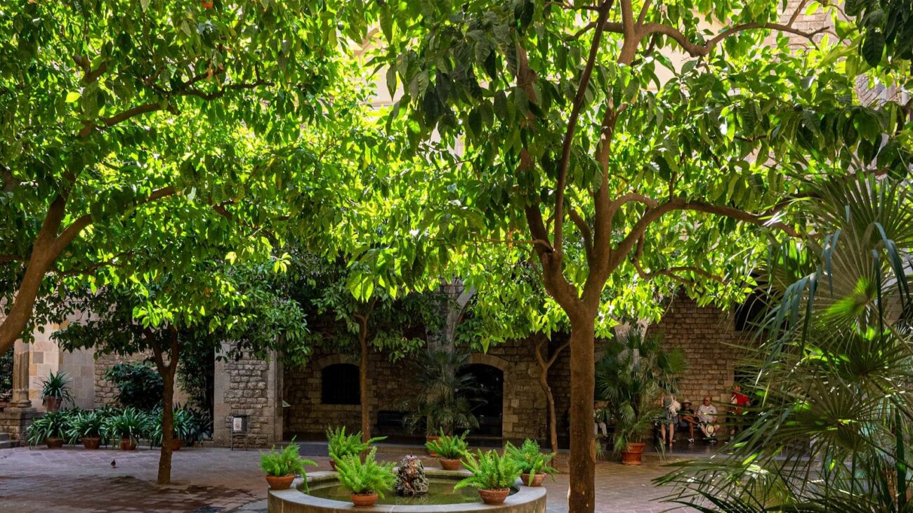 La importancia de la recreación en hogares geriátricos de Medellín: Descubre actividades que nutren el cuerpo y el alma, creando un ambiente donde cada residente se siente parte de un lugar lleno de diversión, creando un ambiente donde cada residente se siente parte de un lugar lleno de alegría.