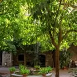 La importancia de la recreación en hogares geriátricos de Medellín: Descubre actividades que nutren el cuerpo y el alma, creando un ambiente donde cada residente se siente parte de un lugar lleno de diversión, creando un ambiente donde cada residente se siente parte de un lugar lleno de alegría.