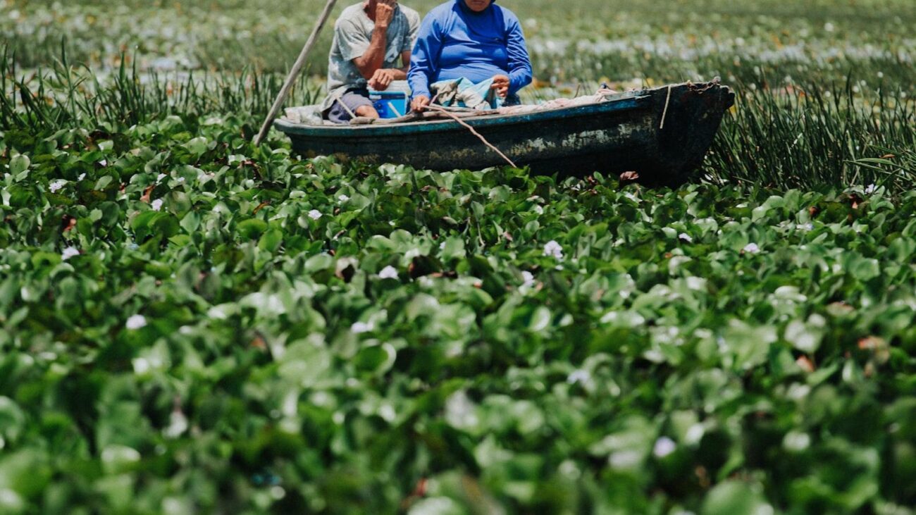 Vivencias compartidas: Historias inspiradoras de residentes en hogares geriátricos de Medellín que te llenarán de esperanza, creando un ambiente donde cada residente se siente parte de un lugar lleno de experiencias, creando un ambiente donde cada residente se siente parte de un lugar lleno de vida.