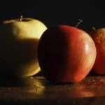 Viviendo con Dignidad en Medellín: La Asomadera Nº 2, Más que un Hogar Geriátrico