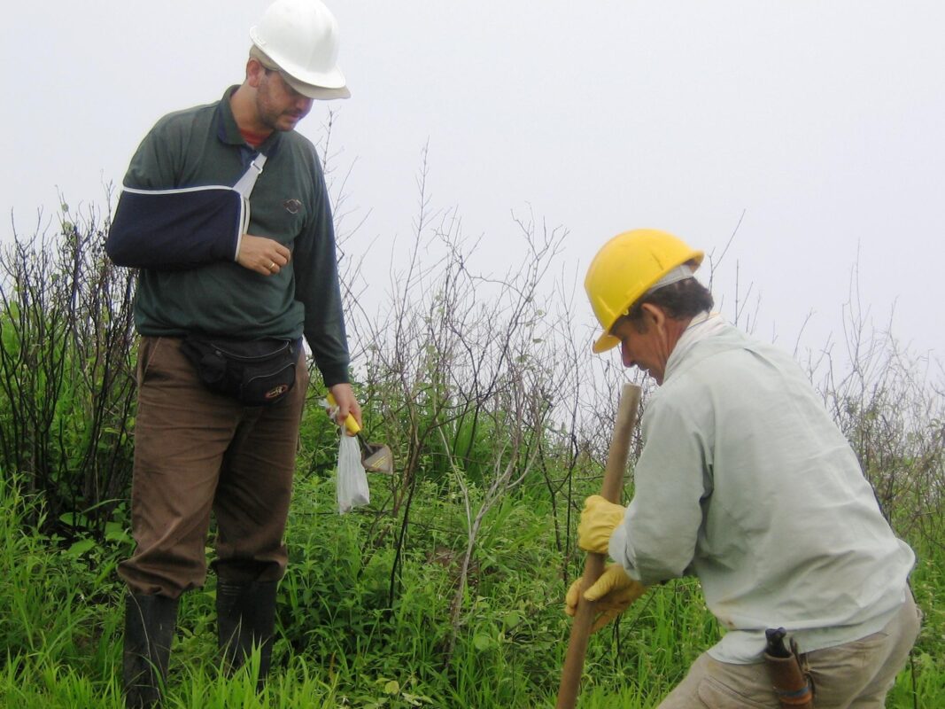 Exploración de Servicios en Medellín: Suramericana, Hogar Geriátrico de Vanguardia