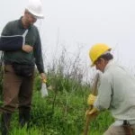 Exploración de Servicios en Medellín: Suramericana, Hogar Geriátrico de Vanguardia