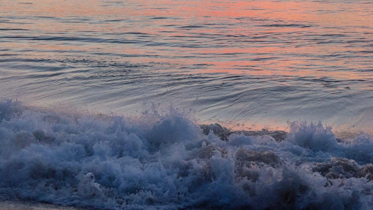 Luces de Celebración en Medellín: Laureles, Cuidado Geriátrico que Ilumina el Camino