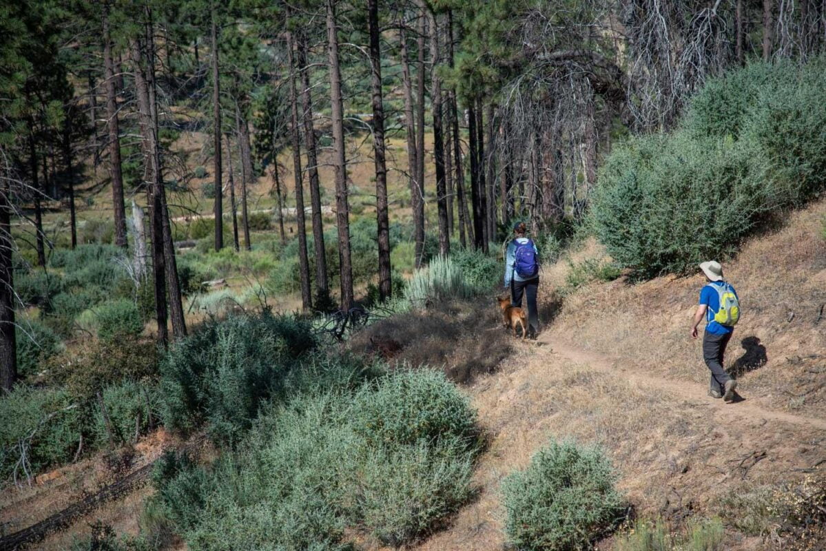 Senderos de Cuidado en Medellín: La Castellana, Envejeciendo con Calidad y Bienestar
