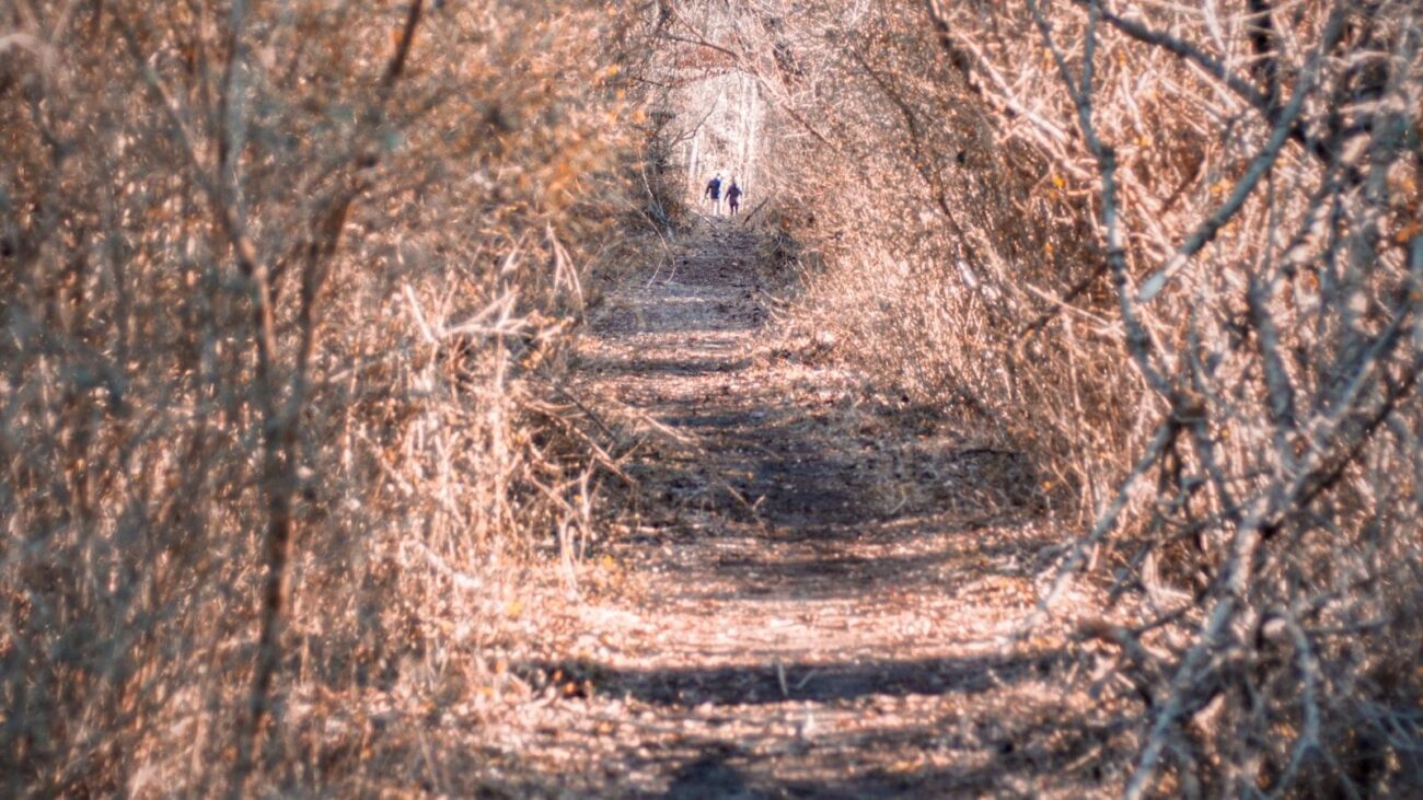 Rincones de Calma en Medellín: La Castellana, Envejecer con Dignidad y Cuidado