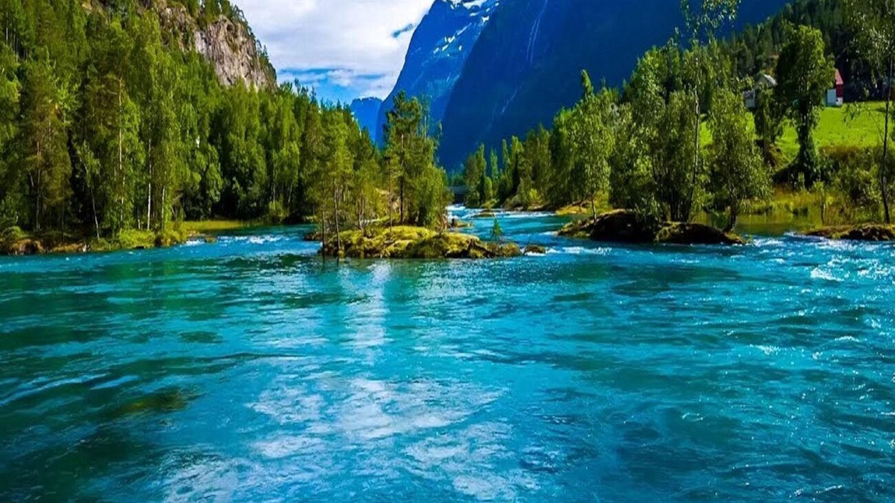 Viviendo con Alegría en Medellín: Las Acacias, Hogar Geriátrico de Plenitud y Celebración