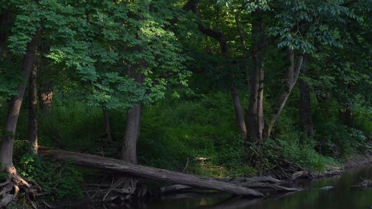 Proyectos de Hogar Geriátrico en Medellín: Participa en la construcción de un futuro lleno de cuidado y bienestar para nuestros mayores, creando un ambiente donde cada residente se siente parte de un lugar lleno de esperanza.