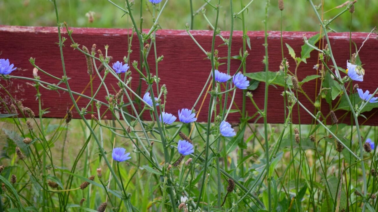 Proyecto de Hogar Geriátrico en Villa Dorada, Medellín: Contribuye a la construcción de un espacio de cuidado y bienestar, donde cada detalle se planifica para ofrecer una vida plena y confortable, creando un ambiente donde cada residente se siente parte de un lugar lleno de sueños.