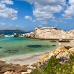 Modelo de funciones del cocinero en hogares geriátricos de Villa Dorada, Medellín: Sabor y nutrición de alta calidad, donde cada comida es una experiencia culinaria que resalta el cuidado y la atención, creando un ambiente donde cada residente se siente parte de un lugar lleno de sabores.