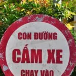 Viviendo con Energía en Medellín: El Velódromo, Servicios Geriátricos que Resplandecen