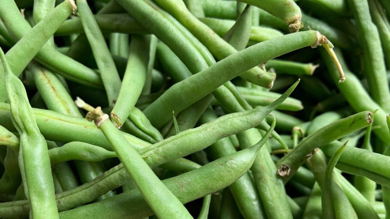 Senderos de Bienestar en Medellín: Estadio, Hogar Geriátrico que Inspira Felicidad Continua