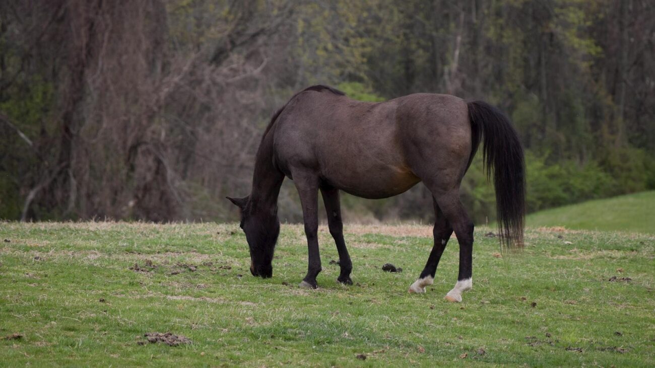 Senderos de Bienestar en Medellín: Estadio, Hogar Geriátrico que Inspira Felicidad Continua