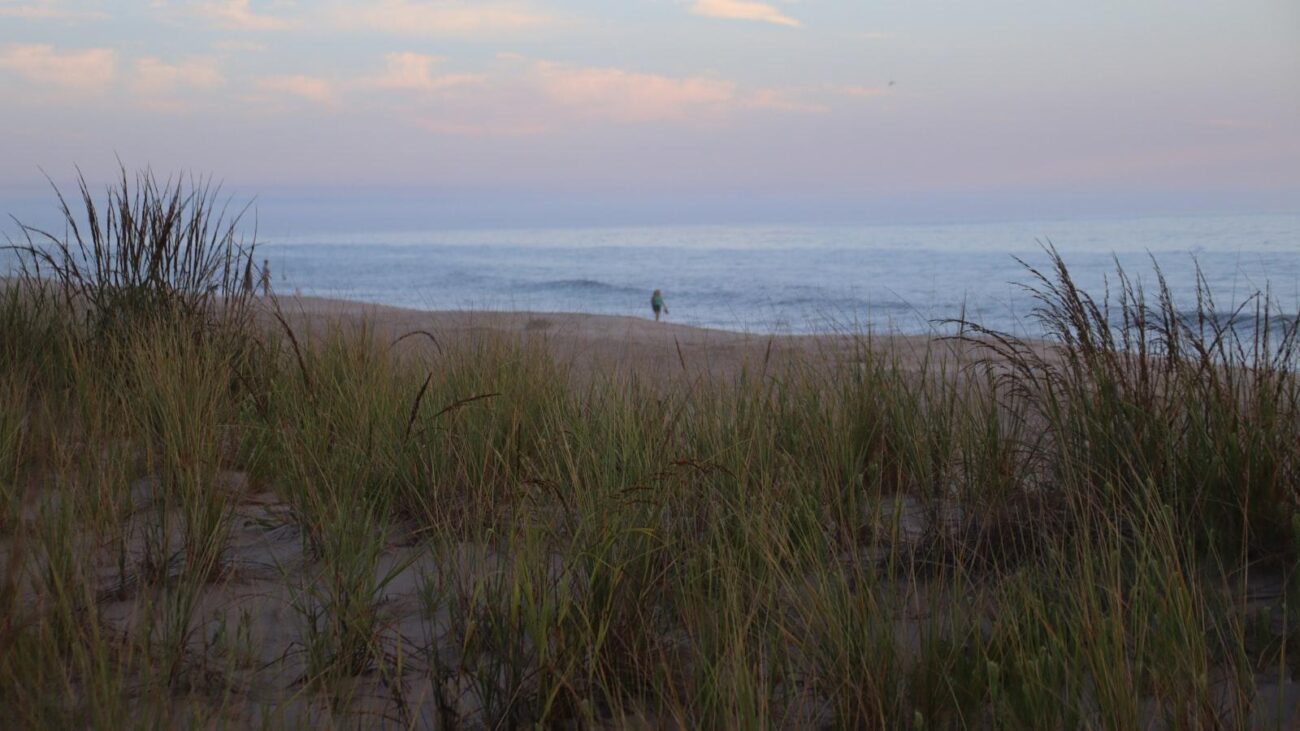 Ecos de Cuidado en Medellín: Estadio, Hogar Geriátrico que Transforma la Experiencia del Envejecimiento