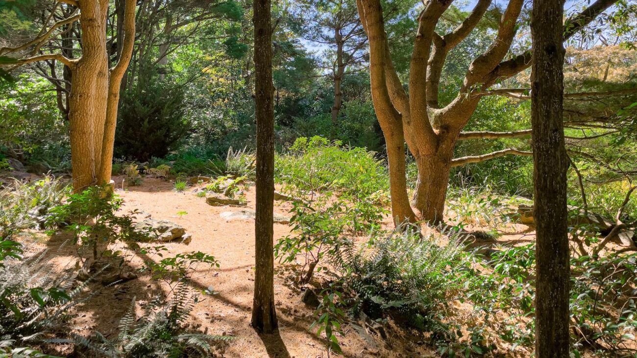 Celebrando la Experiencia de Vida en Medellín: Simón Bolívar, Hogar Geriátrico de Celebración