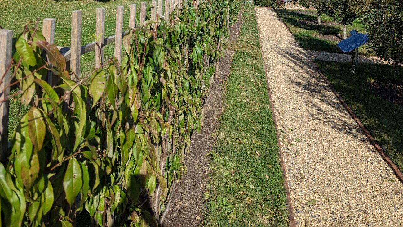 Senderos de Tejido en Medellín: Santa Teresita, Hogar Geriátrico donde el Amor se Entrelaza