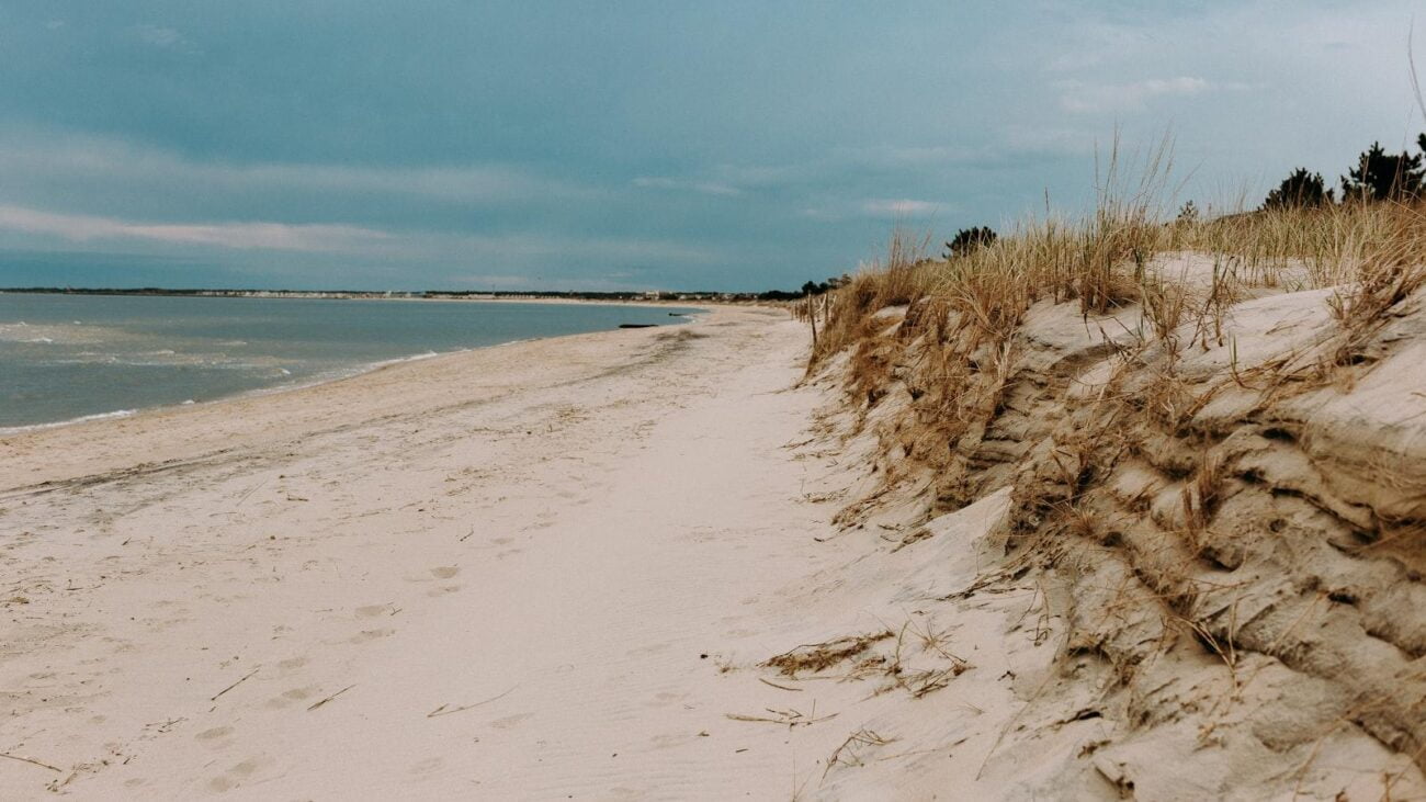 Senderos de Celebración en Medellín: Simón Bolívar, Hogar Geriátrico que Resalta tu Experiencia