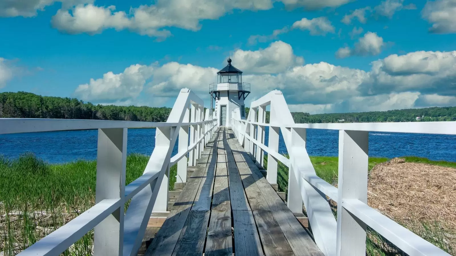 Ecos de Compañerismo en Medellín: Santa Teresita, Hogar Geriátrico que Transforma Vidas