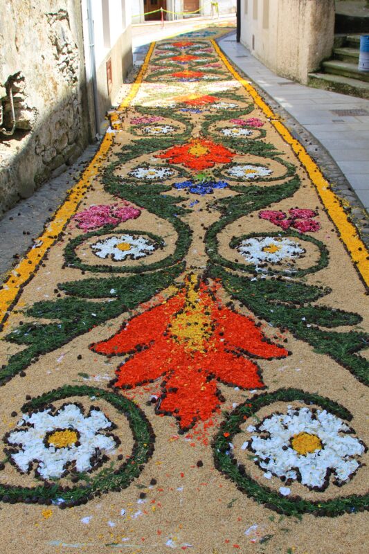 Ecos de Bienestar en Medellín: Villa Carlota, Hogar Geriátrico que Transforma la Experiencia del Envejecimiento