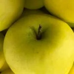 Rincones de Calidad en Medellín: Castropol, Servicios Geriátricos que Marcan la Diferencia