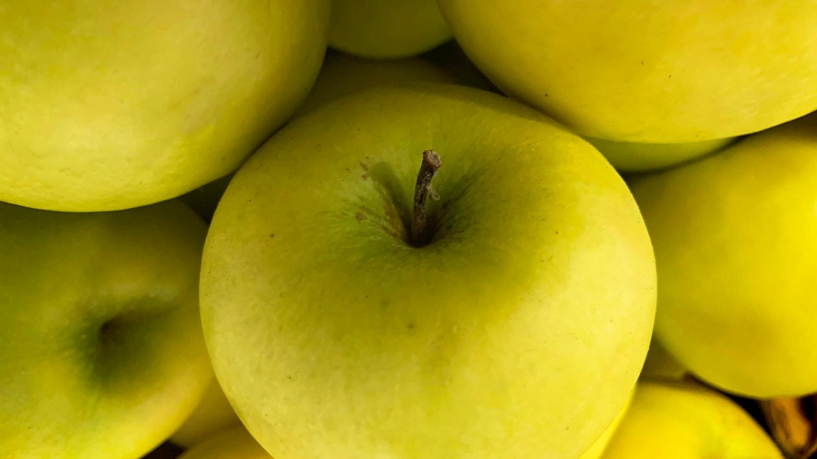 Rincones de Calidad en Medellín: Castropol, Servicios Geriátricos que Marcan la Diferencia