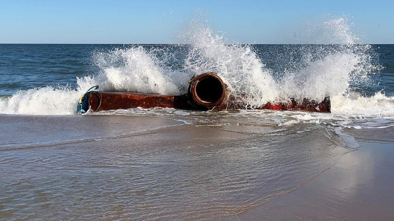 Senderos de Bienestar en Medellín: Lalinde, Hogar Geriátrico que Resalta tu Placidez
