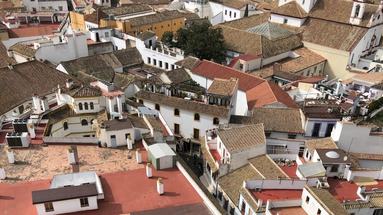 Las Lomas Nº 1 en Medellín: Un Espacio de Amor y Cuidado Geriátrico en Nuestro Querido Vecindario
