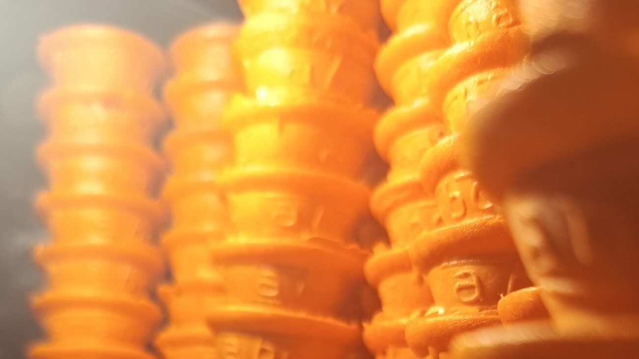 Viviendo con Plenitud en Medellín: Las Lomas Nº 1, Hogar Geriátrico que Marca la Diferencia