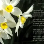 Rincones de Elevación en Medellín: Altos del Poblado, Cuidado Geriátrico que Inspira Grandeza