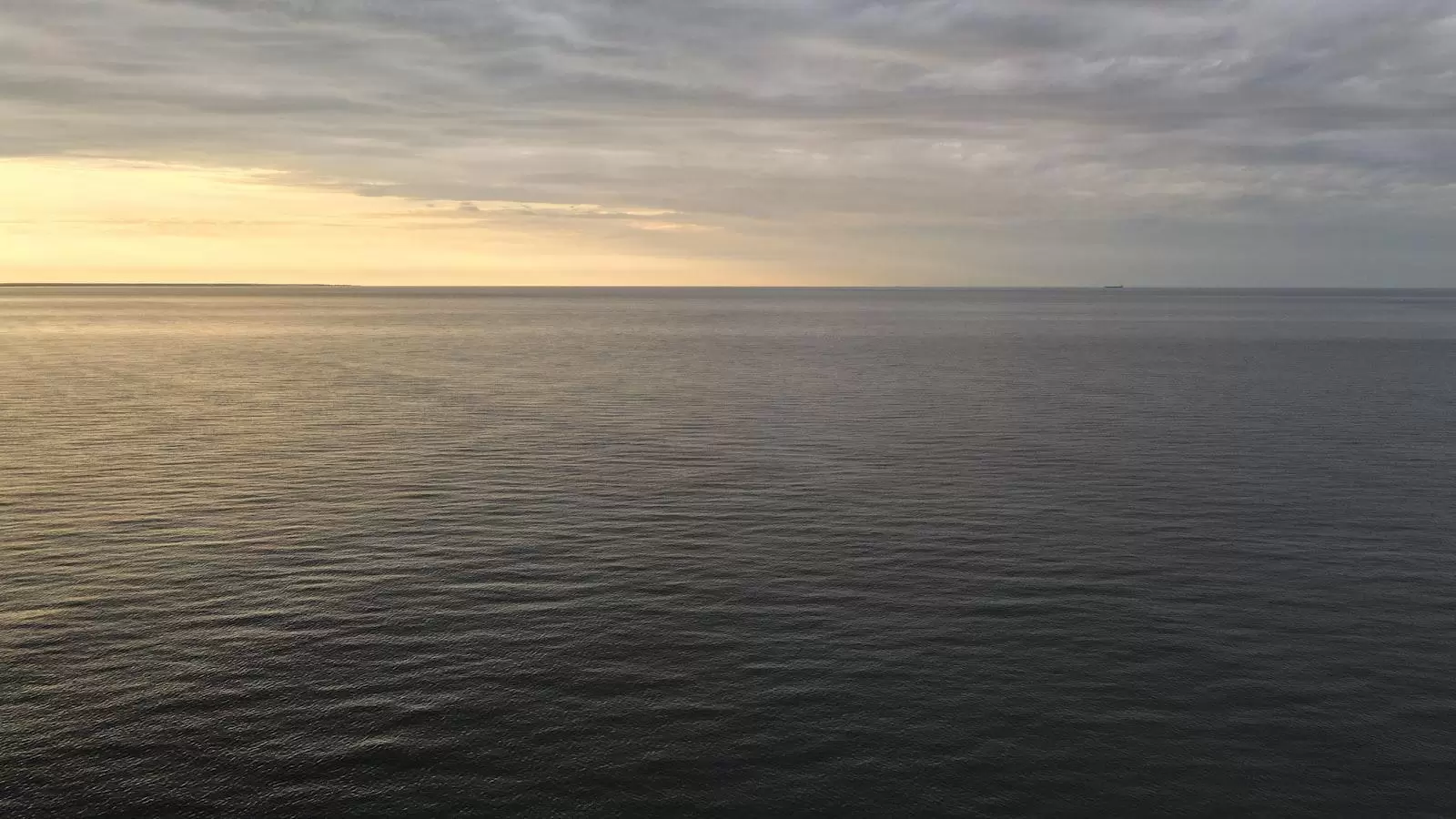 Altos del Poblado en Medellín: Celebración de la Elevación de la Calidad de Vida Geriátrica