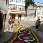 Castropol en Medellín: Profesionalismo en Servicios Geriátricos para una Vida Plena