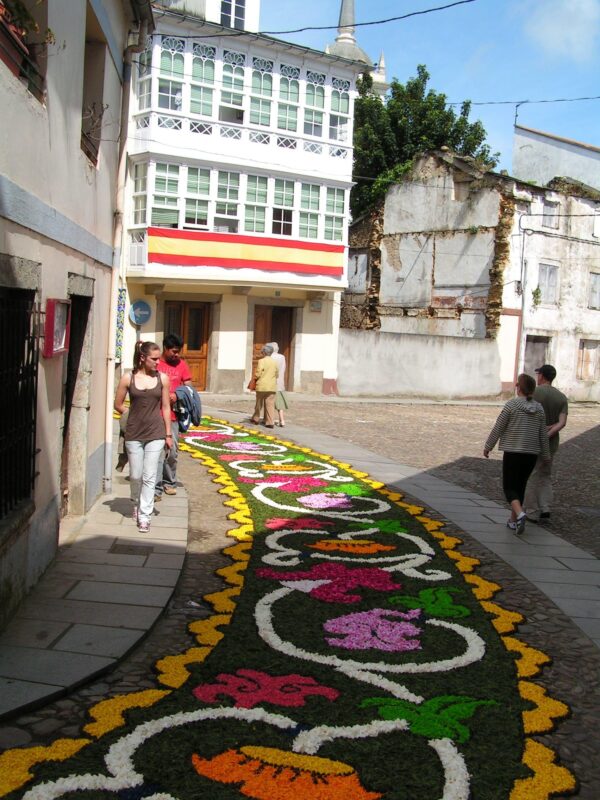 Castropol en Medellín: Profesionalismo en Servicios Geriátricos para una Vida Plena