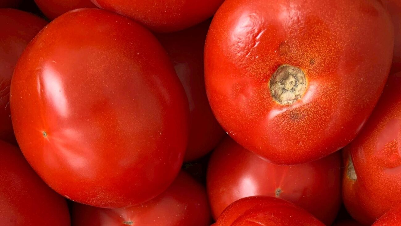 Ecos de Bienestar en Medellín: Castropol, Hogar Geriátrico que Transforma la Jubilación