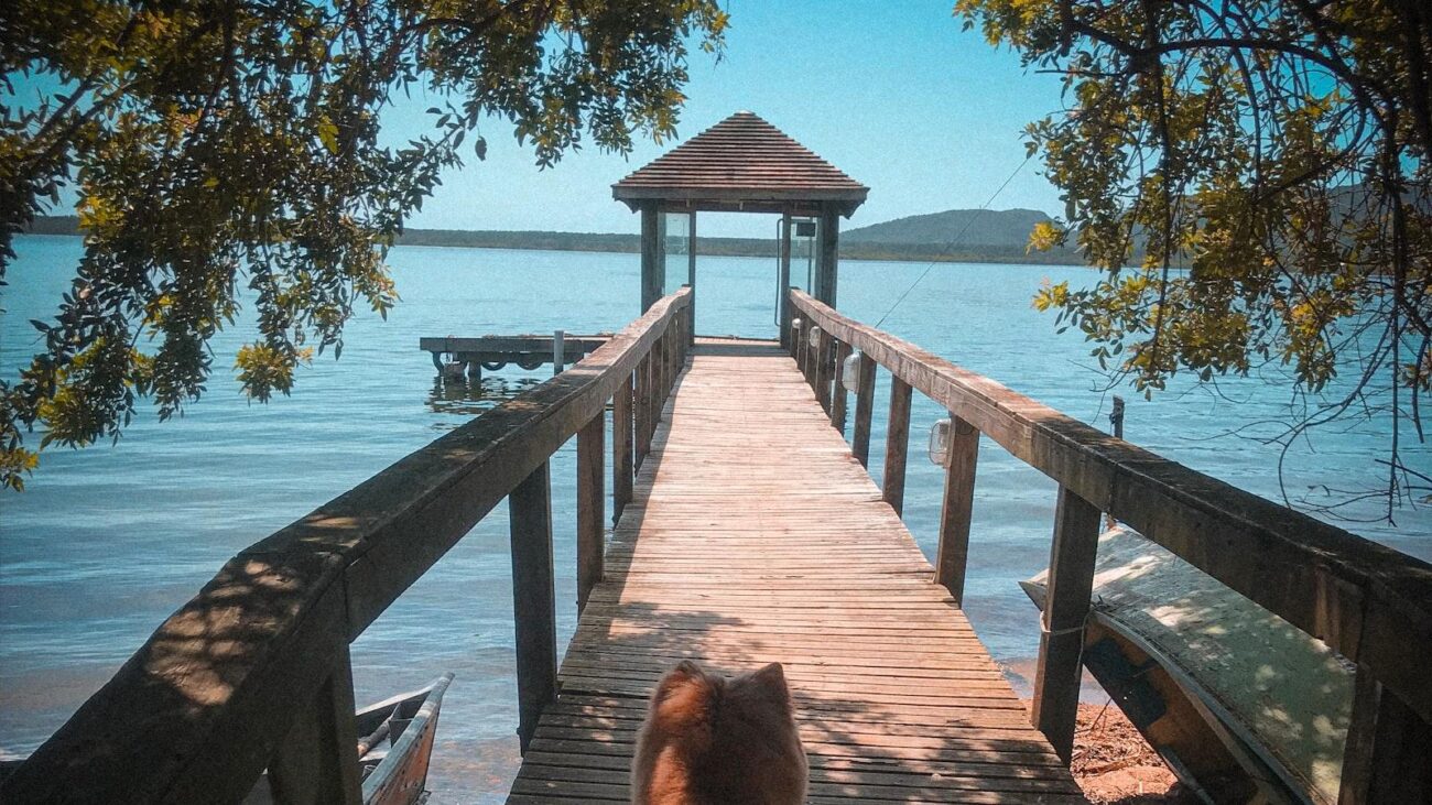Paz y Comodidad en Medellín: Lalinde, Hogar Geriátrico que Abraza tu Tranquilidad