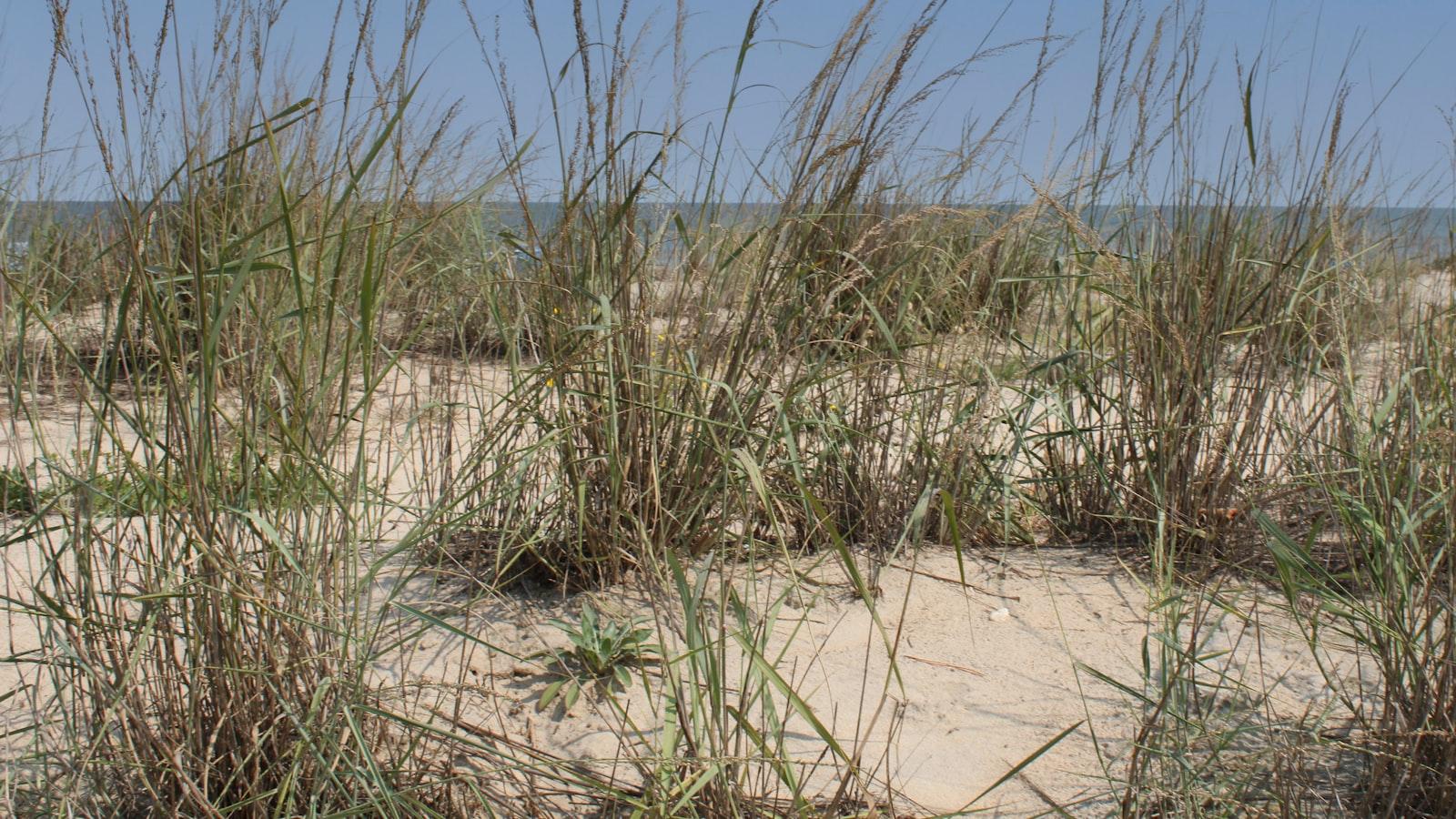 Rincones de Amor en Medellín: Las Lomas Nº 1, Cuidado Geriátrico que Inspira Ternura