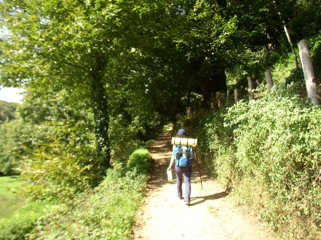 San Diego Medellín: Cuidados Geriátricos que Tejen una Historia de Bienestar