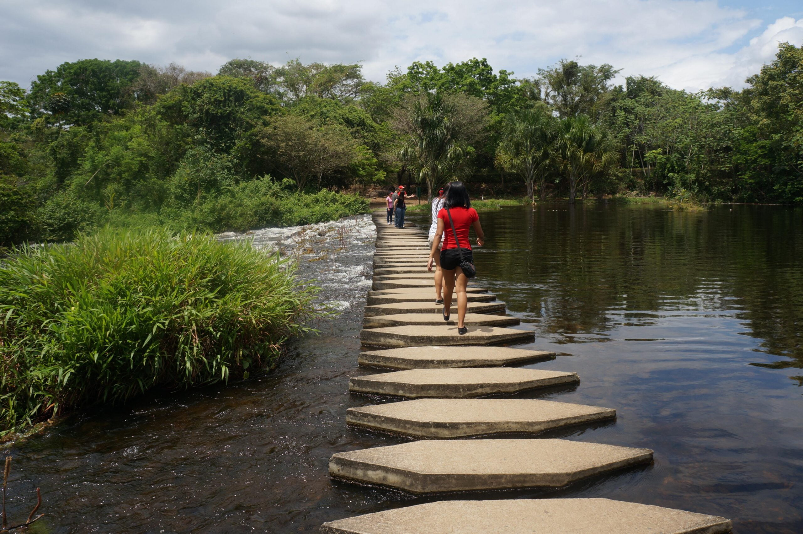 Comuna 10 Medellín: Cuidados Geriátricos que Tejen Lazos de Bienestar Común
