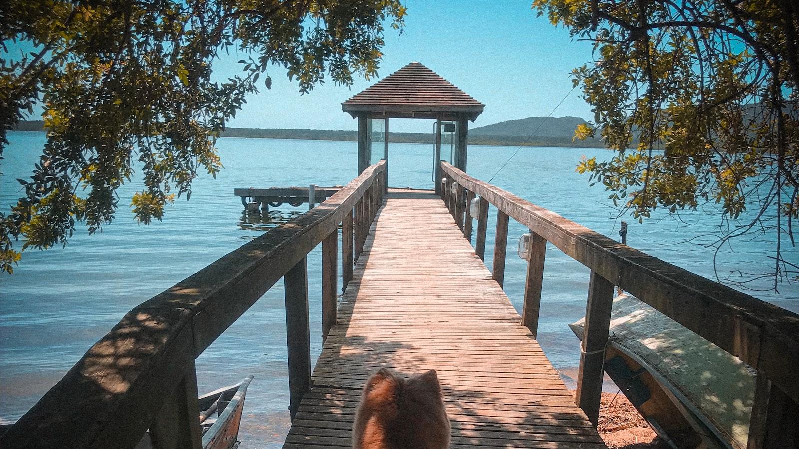 Explorando la Tranquilidad en San Germán Medellín: Hogar Geriátrico con Atención Especializada