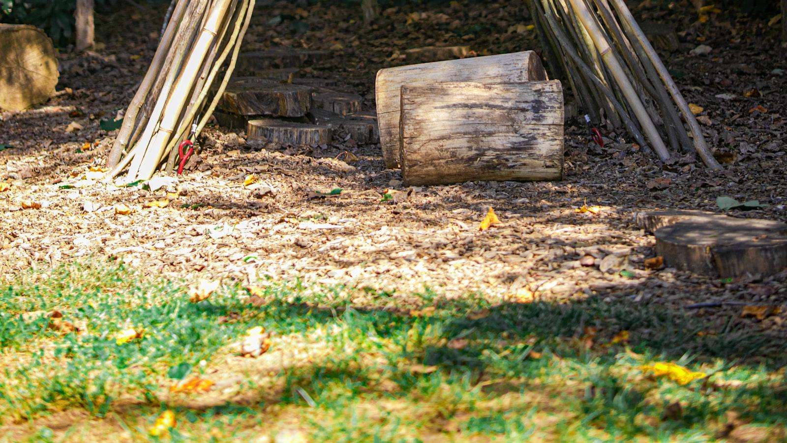 La Experiencia de Vida se Fusiona con la Naturaleza en Bosques de San Pablo Medellín