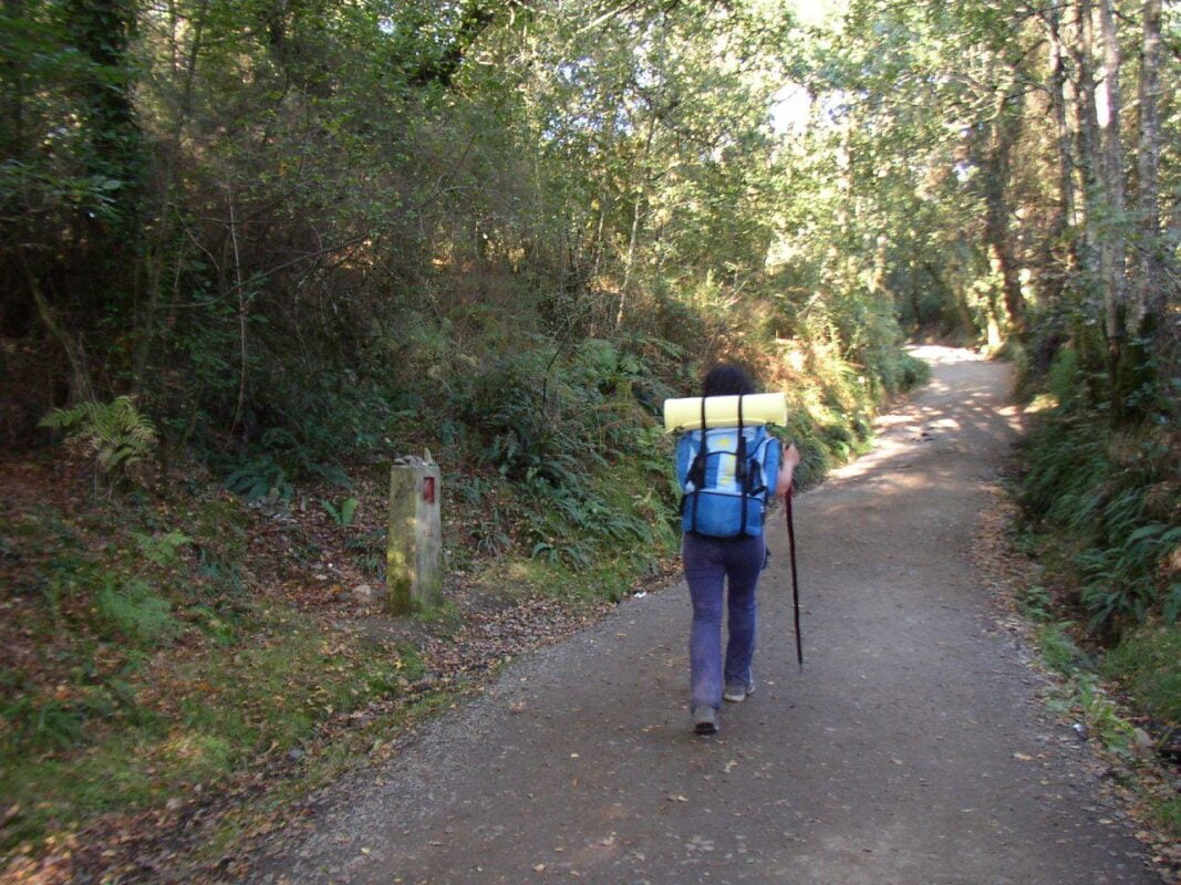 Caminando hacia la Plenitud en Comuna 10 Medellín: Hogar Geriátrico de Atención Comunitaria