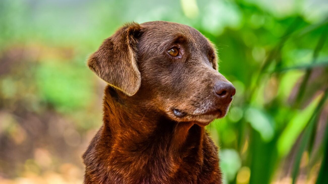 Caminando hacia la Plenitud en Boston Medellín: Hogar Geriátrico de Atención Cultural Especializada