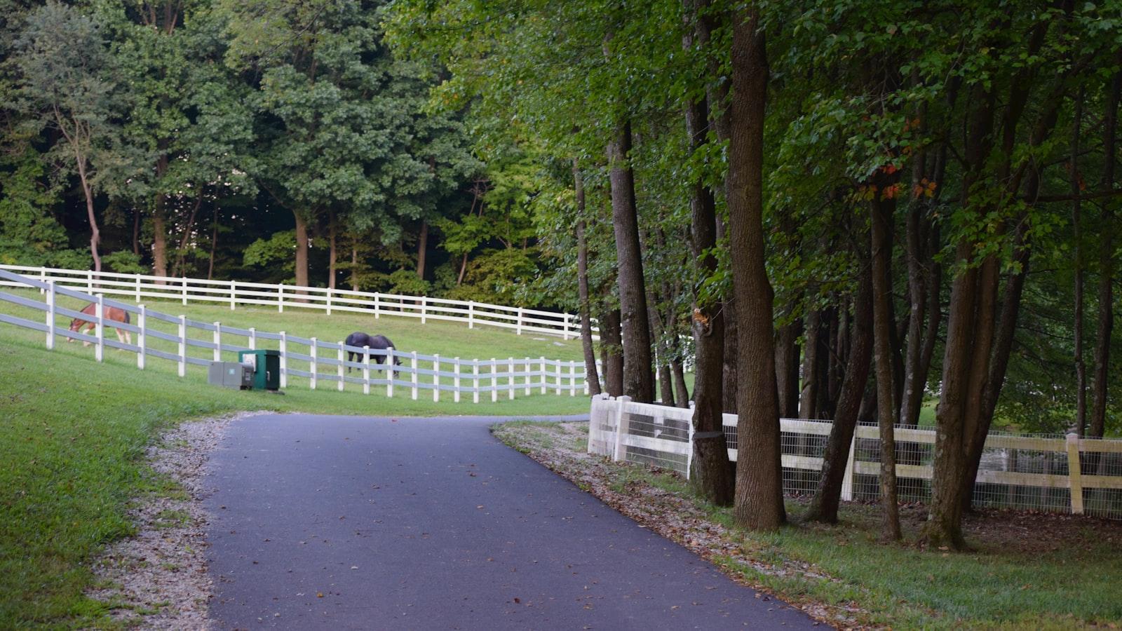 Bosques de San Pablo Medellín: Bienestar Geriátrico en un Entorno Natural