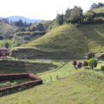 Casas de Retiro para Adultos Mayores Medellín: Vive tus Años Dorados con Plenitud